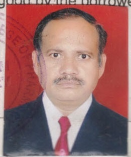 Mr. Raghunath Raut